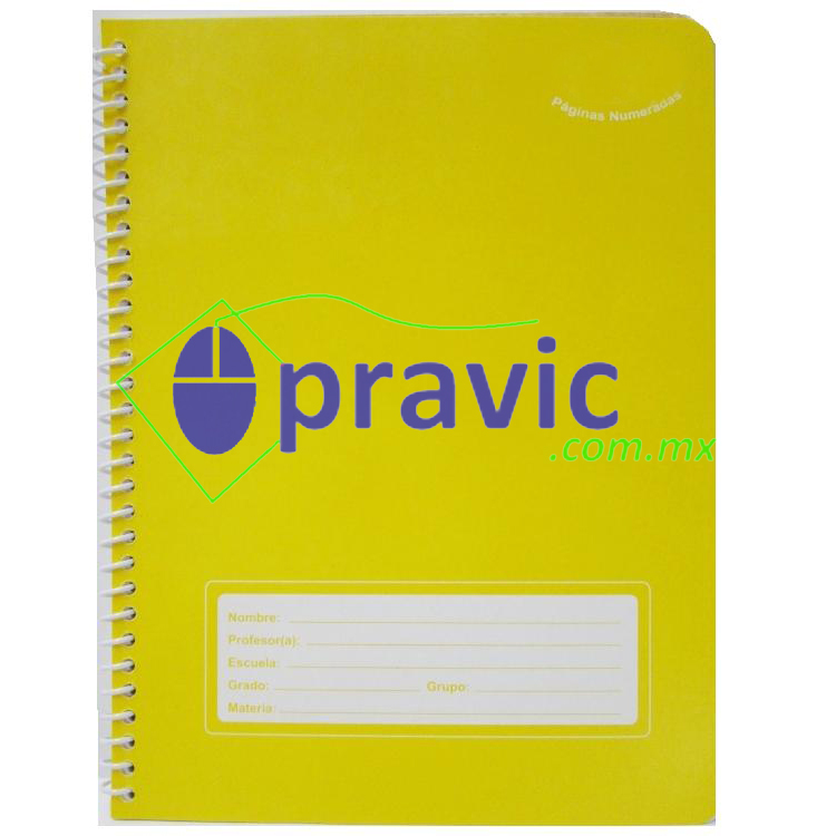 Cuaderno Profesional Espiral Foliado 100 Hojas Cuadernos 1012